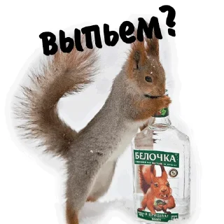 Стикер Approach @stickersb2b - 9