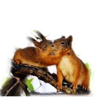 Стикер Approach @stickersb2b - 11