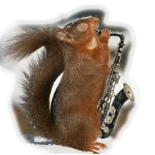 Стикер Approach @stickersb2b - 0