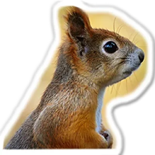 Стикер Approach @stickersb2b - 6