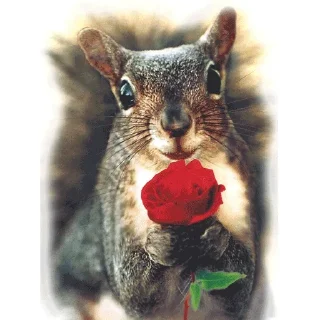 Стикер Approach @stickersb2b - 2