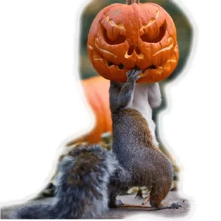 Стикер Approach @stickersb2b - 3