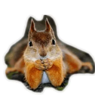 Стикер Approach @stickersb2b - 10