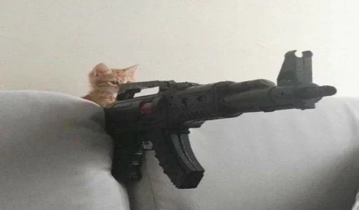 weapon cat firearm