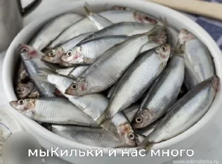 Sticker я килька 🫶🏼 @TgEmodziBot - 0