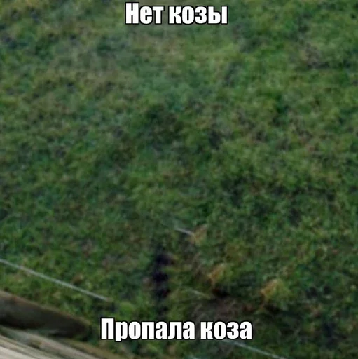 Sticker yakozaemae - 1