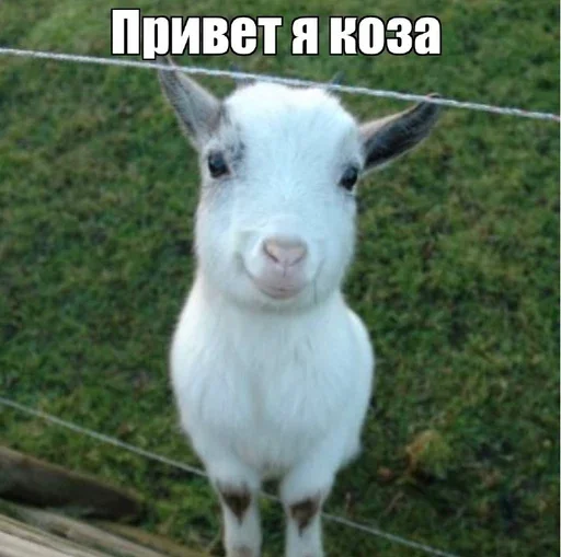 привіт я… - 