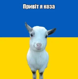 Sticker привіт я… - 6