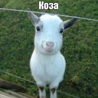 Sticker привіт я… - 2