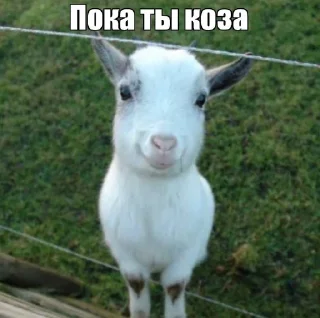 Sticker привіт я… - 3