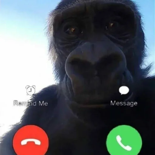 Стикер yanatop02 - 1