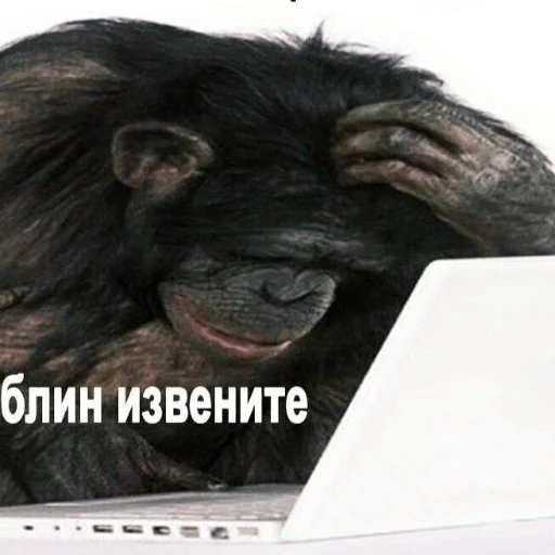 Стикер yanatop02 - 1