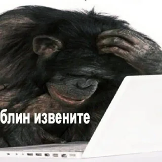 Стикер stickers p.2 by @whymehit - 4