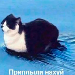 Sticker Автор Олег 33 года - 3