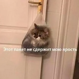 Sticker Автор Олег 33 года - 4