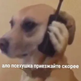 Sticker Автор Олег 33 года - 0