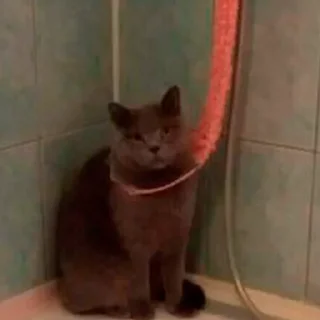 Sticker Автор Олег 33 года - 1