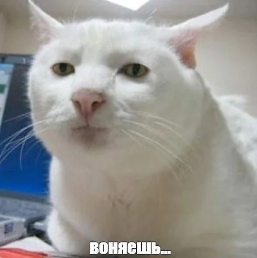 мама я емо by @fStikBot - text