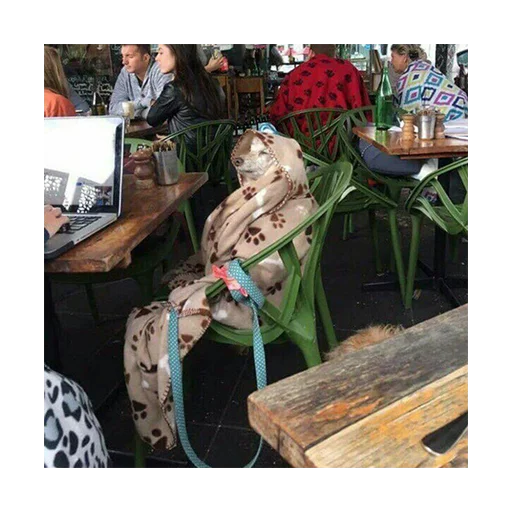 flower table sitting