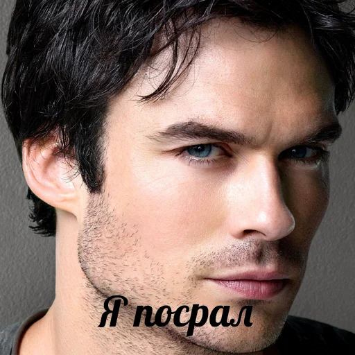 human face person eyebrow