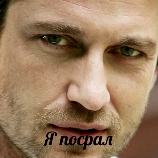 human face forehead eyebrow