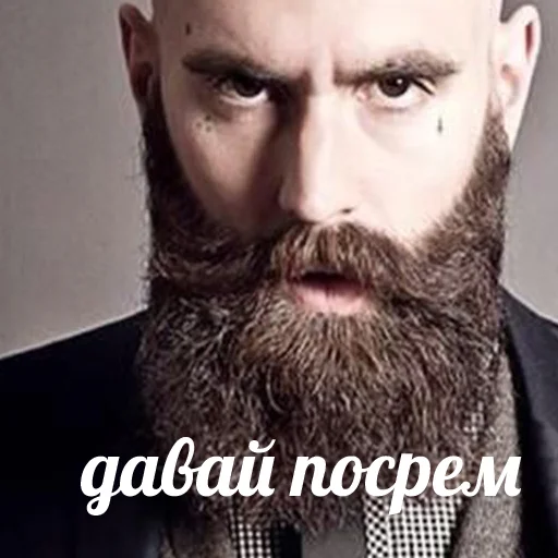 human beard facial hair moustache