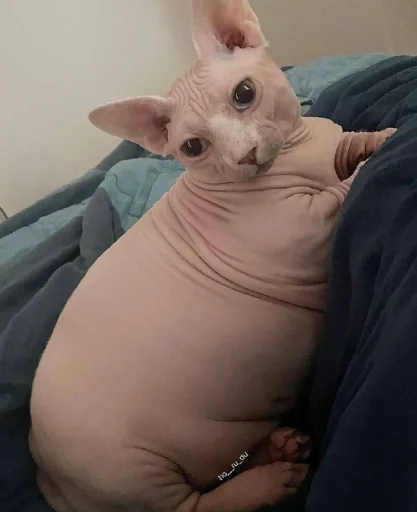 Стикер yarbaleevmonako - 1