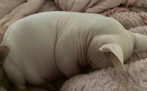 Стикер yarbaleevmonako - 1