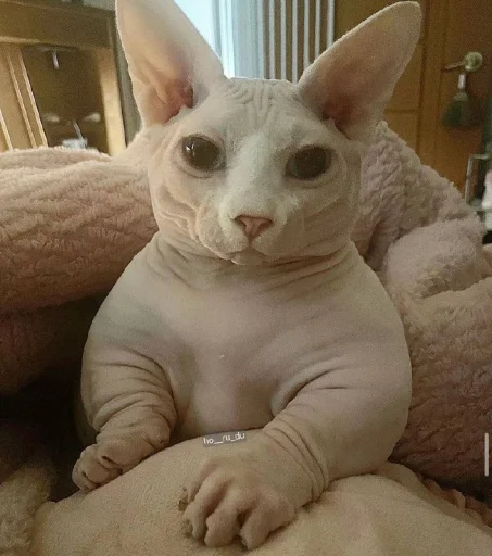 Стикер yarbaleevmonako - 1