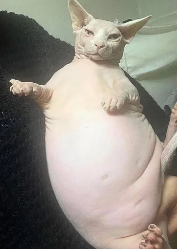 Стикер yarbaleevmonako - 1