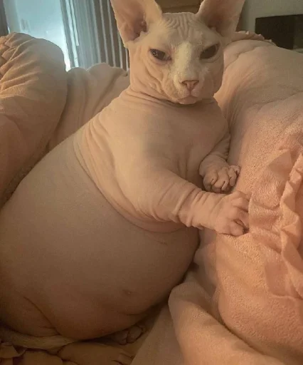 Стикер yarbaleevmonako - 1