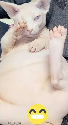 Стикер yarbaleevmonako - 1