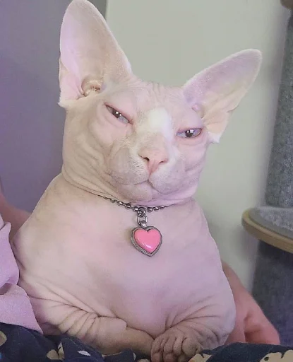 Стикер yarbaleevmonako - 1