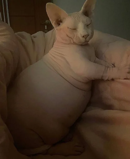 Стикер yarbaleevmonako - 1