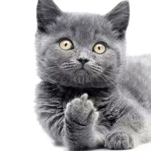 Sticker yashaman - 1