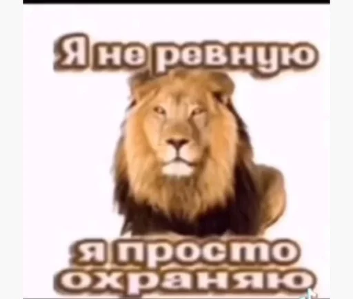 Стикер yasosuxuy :: @fStikBot - 5