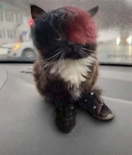 Стикер yasosuxuy :: @fStikBot - 4