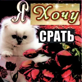 СМС кошки малого и среднего размера животное