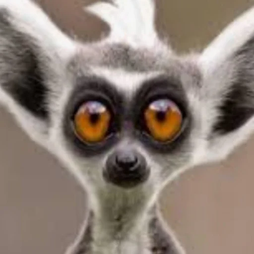 emokylekek - иллюстрация