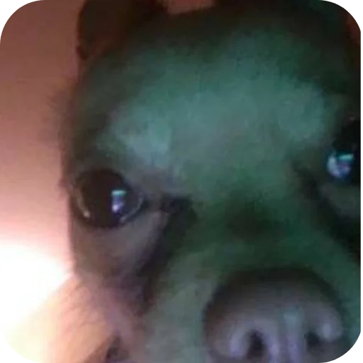 яяяяяяя8у8у - 