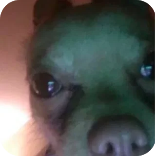 Стикер яяяяяяя8у8у - 1