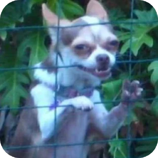 Стикер яяяяяяя8у8у - 0