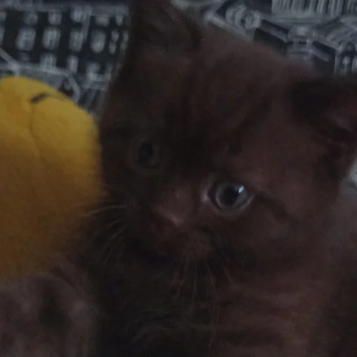 Sticker гыча - 9