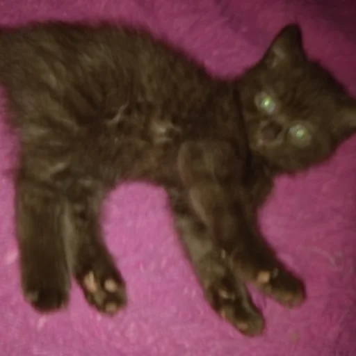 Sticker гыча - 7