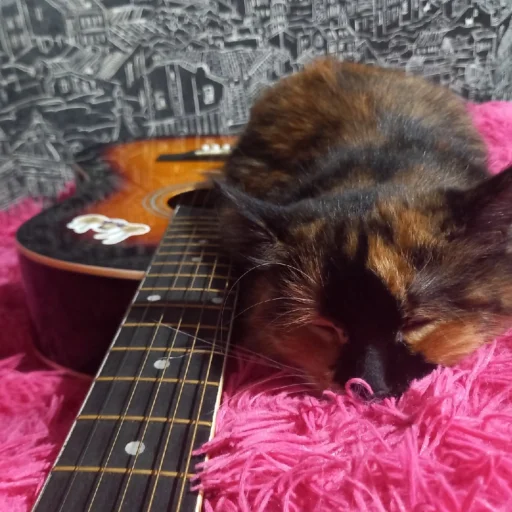 Sticker гыча - 4