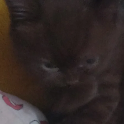 Sticker гыча - 3