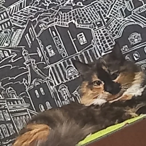 Sticker гыча - 2