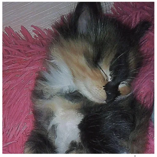 Sticker гыча - 1