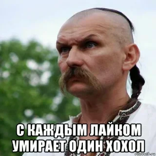 Стикер Хохлы - 3