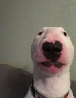 Стикер 66666 - 1